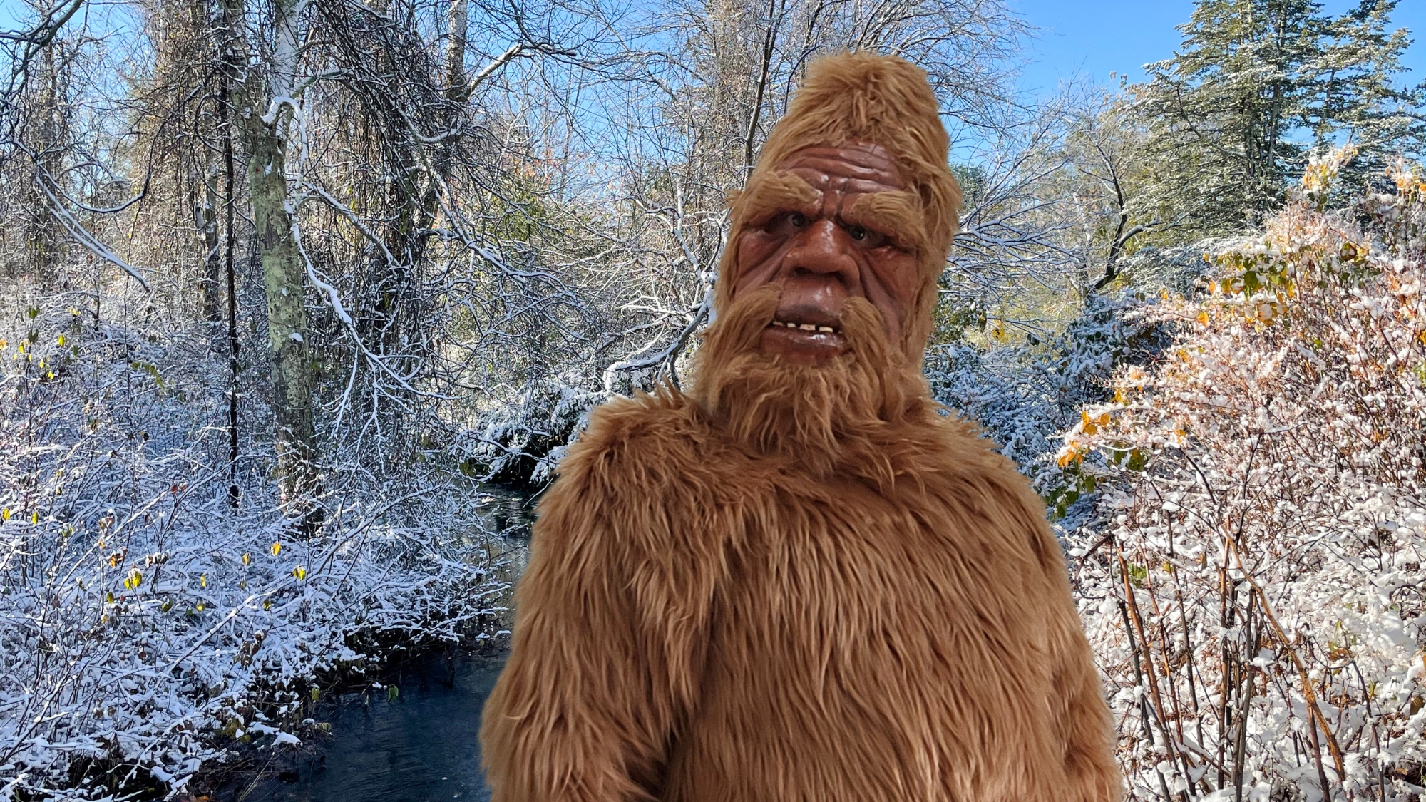 Contact NH Bigfoot Appearances