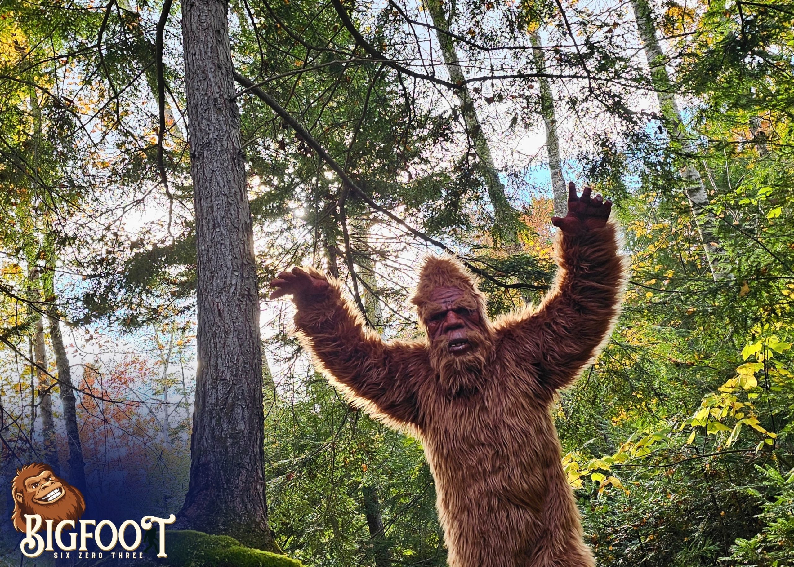 NH Bigfoot Appearances Mission