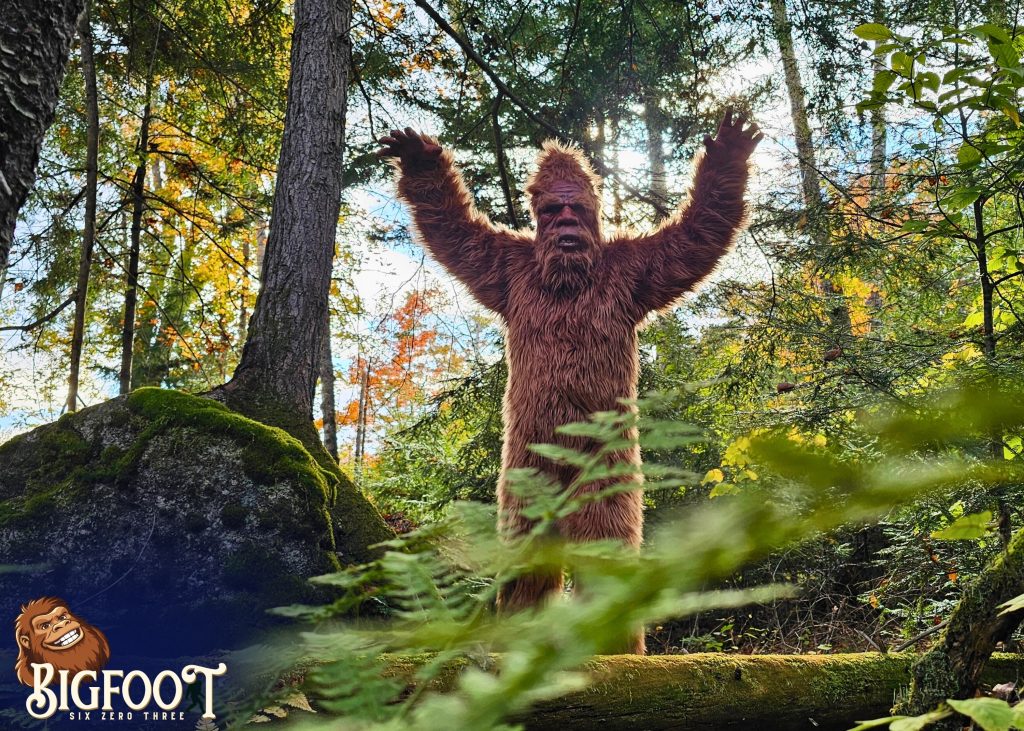 Bigfoot Appearances in New Hampshire